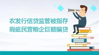 农发行信贷监管被指存瑕疵民营粮企巨额骗贷课件