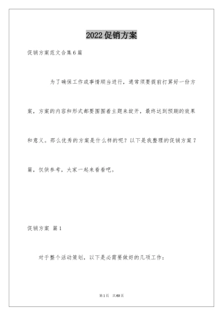 2024促销方案_23