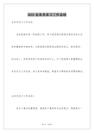 2024业务员实习工作总结_1