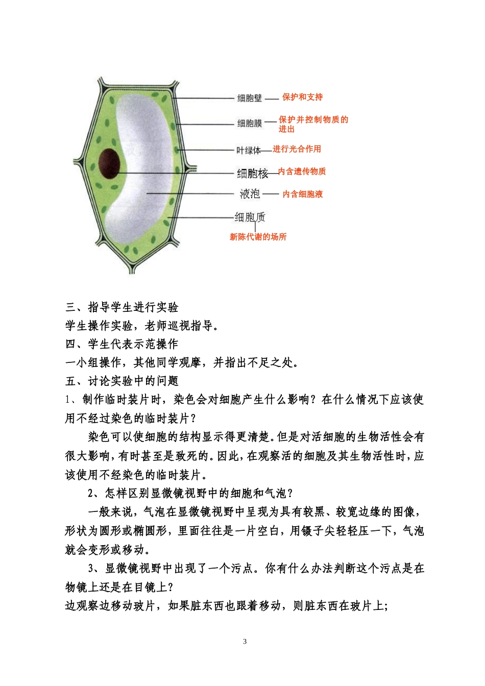 制作并观察洋葱表皮细胞临时装片_第3页