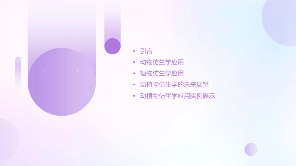 动植物仿生学应用举例课件x_第2页