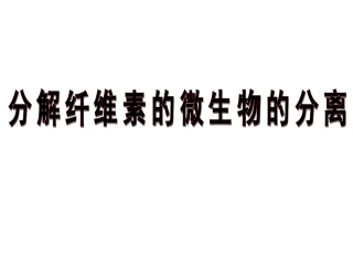 分解纤维素的微生物的分离 演示文稿