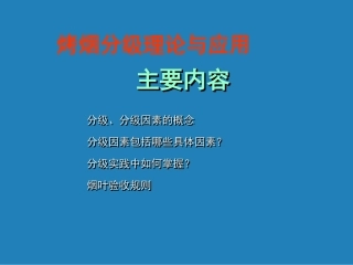 分级课件(拷贝)