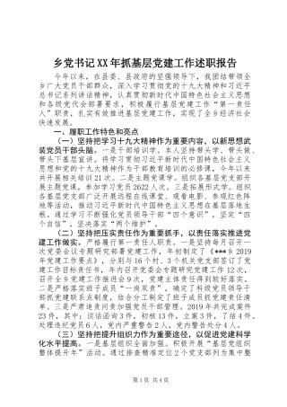 乡党书记XX年抓基层党建工作述职报告