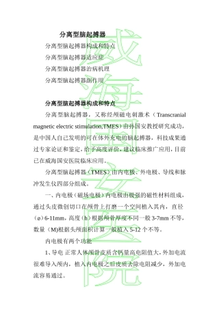 分离型脑起搏器