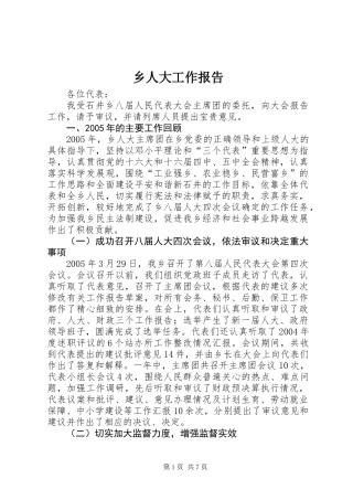 乡人大工作报告