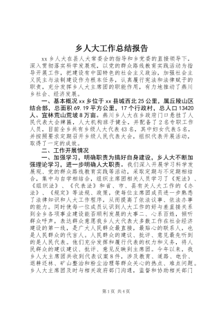 乡人大工作总结报告