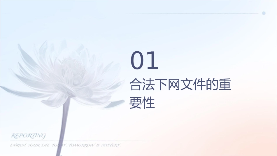 合法下载网络文件课件_第3页