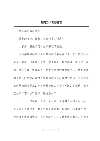 禁烧工作表态发言
