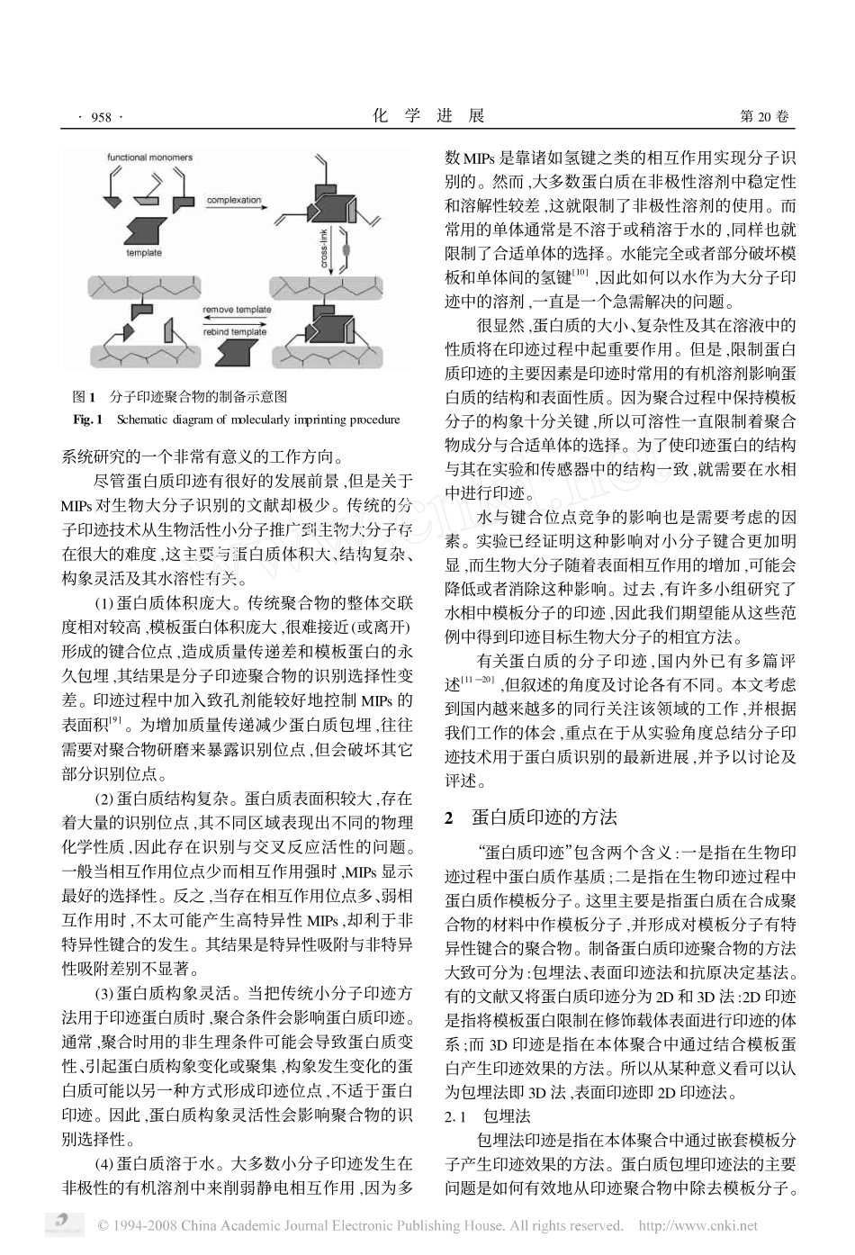 分子印迹技术用于蛋白质的识别_第2页