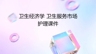 卫生经济学 卫生服务市场护理课件