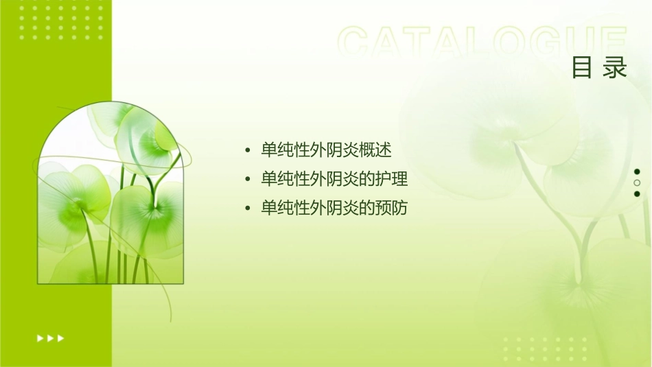 单纯性外阴炎护理课件_第2页