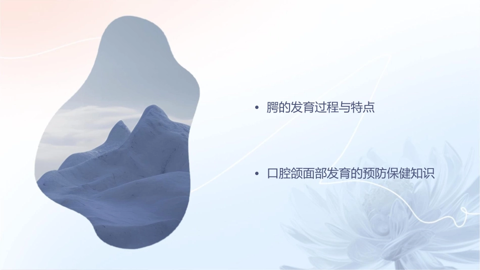 口腔组织病理学 口腔颌面部发育腭发育护理课件_第2页