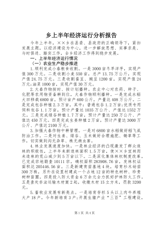 乡上半年经济运行分析报告