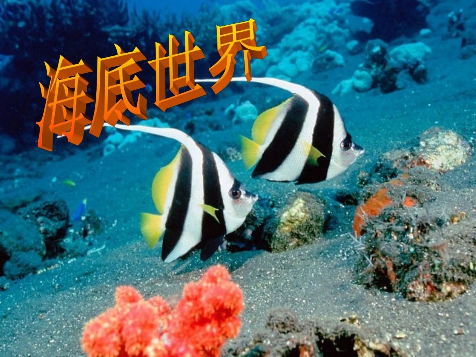 三年级上册《海底世界》_第1页