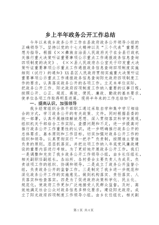 乡上半年政务公开工作总结