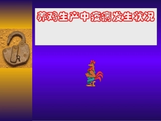 养鸡生产中疫病发生状况