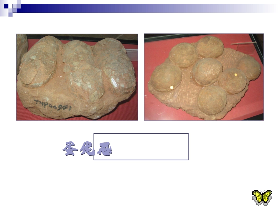 阿西莫夫短文两篇（上课）_第3页