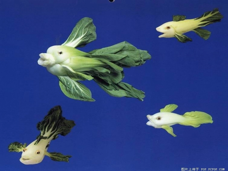 六年级上作文指导之想像联想_第2页