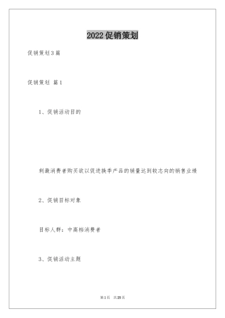 2024促销策划