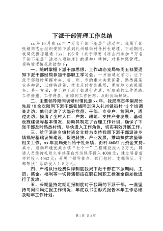 下派干部管理工作总结
