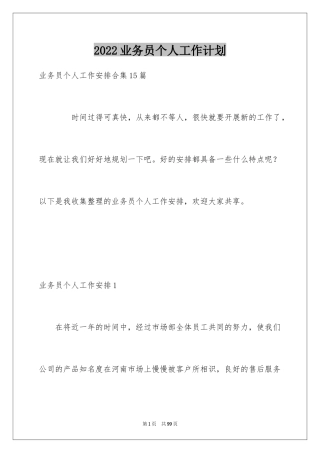 2024业务员个人工作计划_9