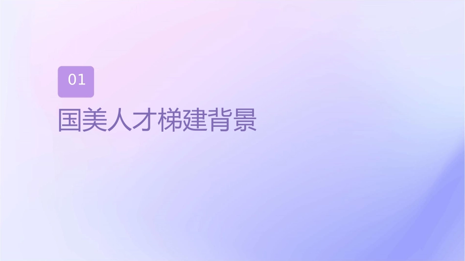 国美人才梯队建设精华方案课件_第3页