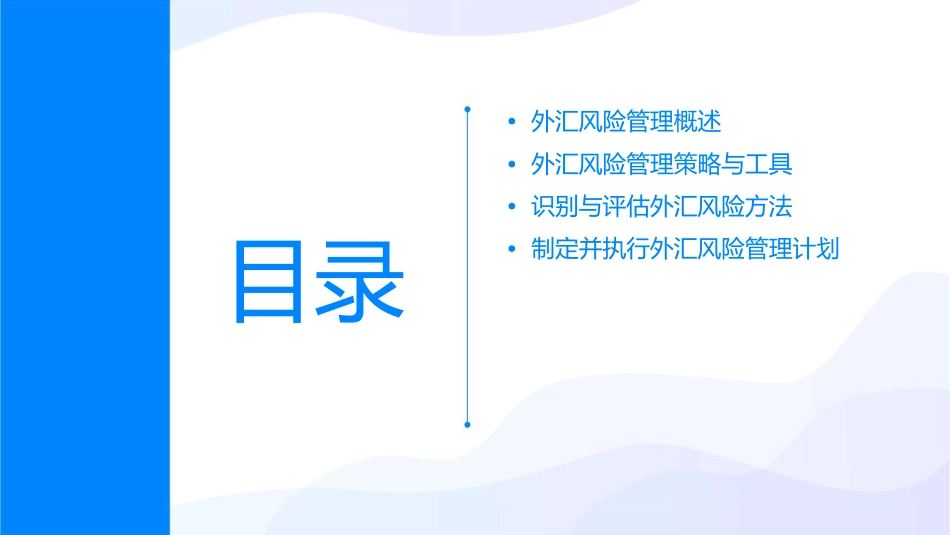 外汇风险管理教学课件_第2页