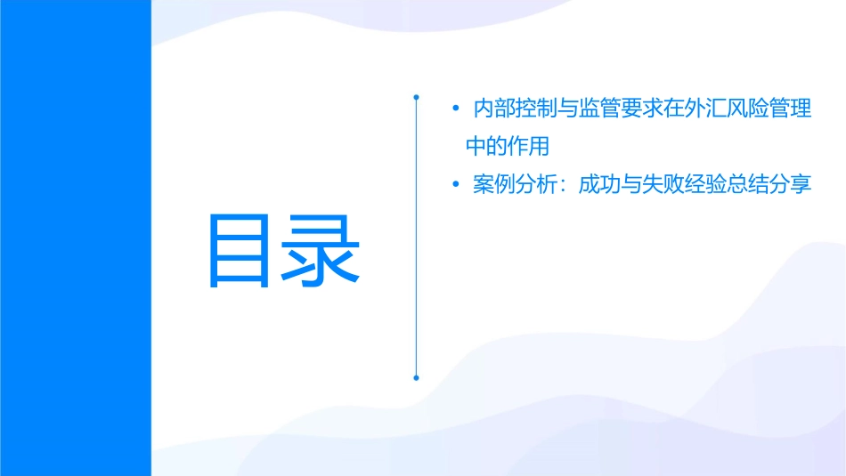 外汇风险管理教学课件_第3页