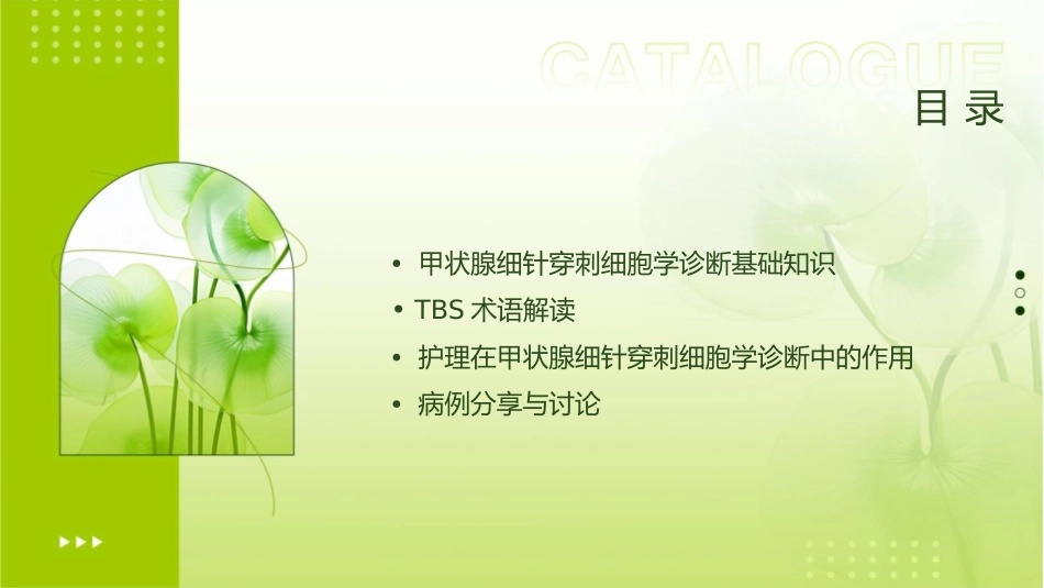 具有挑战性甲状腺细针穿刺细胞学诊断TBS术语解读摘要护理课件_第2页