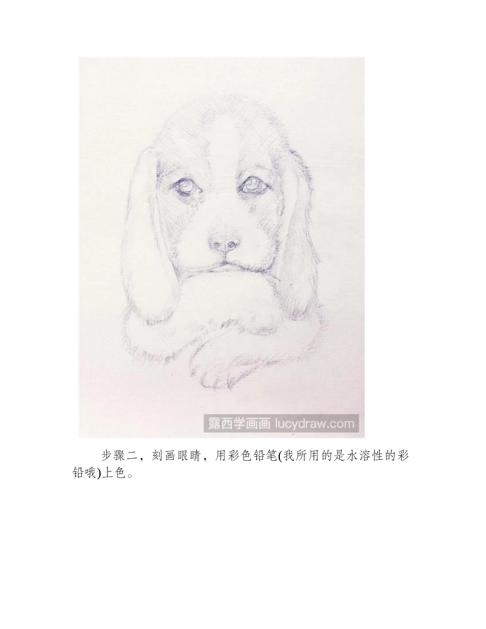 可爱狗狗彩铅画教程彩铅画教程_第2页