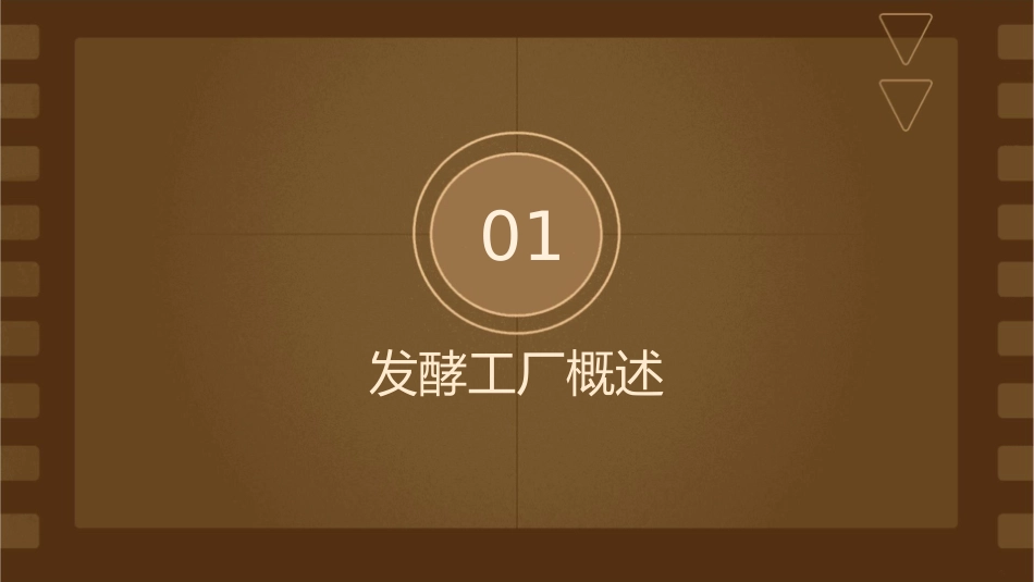 发酵工厂总平面课件_第3页