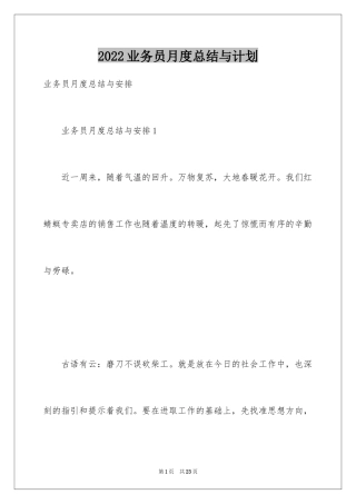 2024业务员月度总结与计划