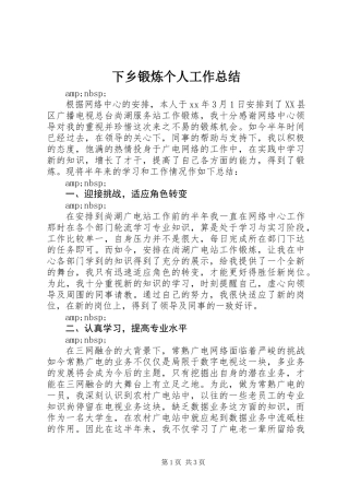 下乡锻炼个人工作总结 (2)