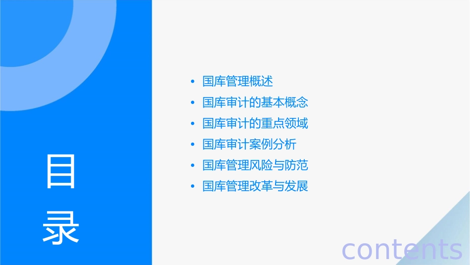 国库管理审计课件_第2页