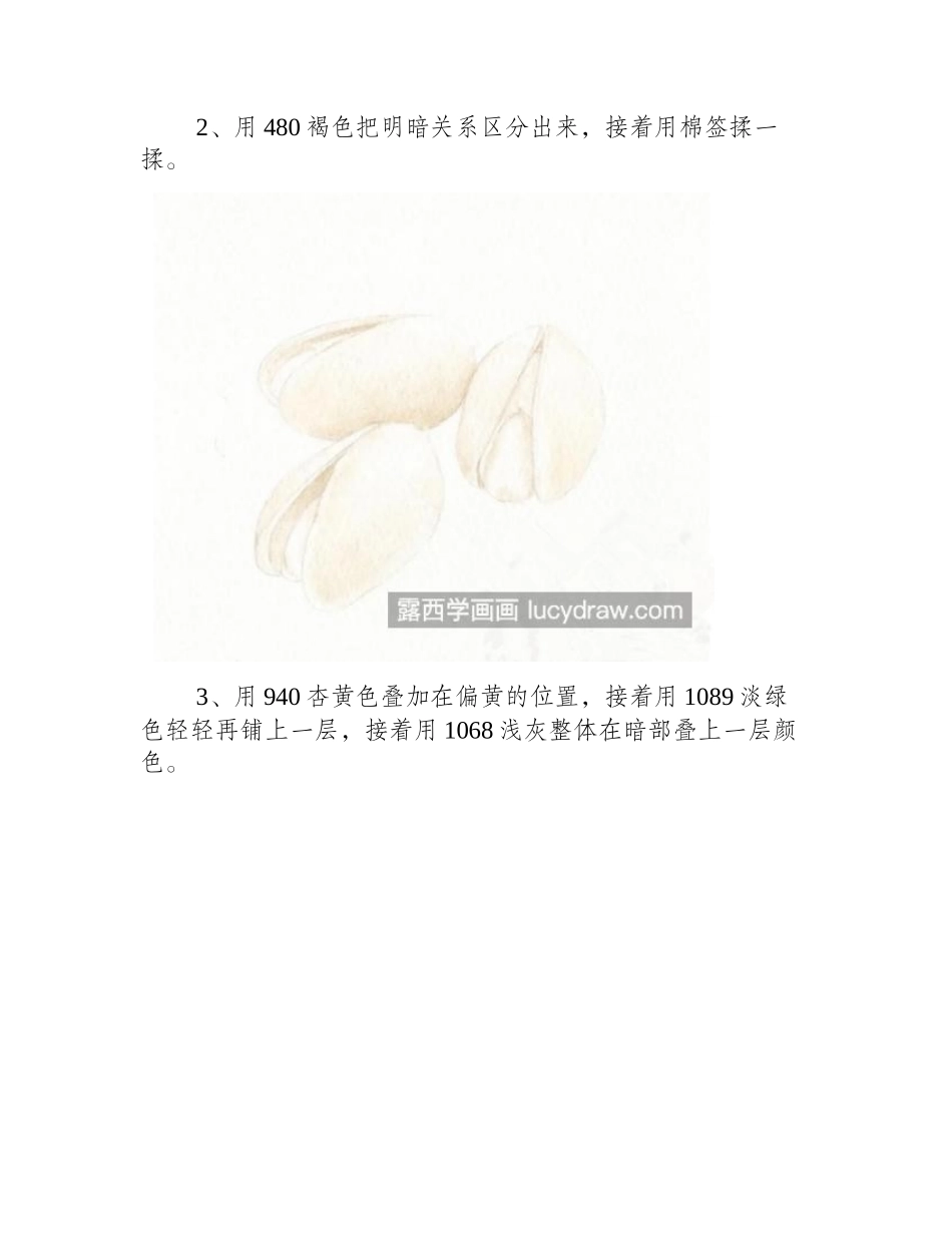 开心果怎么画_彩铅上色步骤有几步_彩铅画教程_第2页