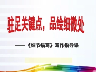 细节描写作文指导课_