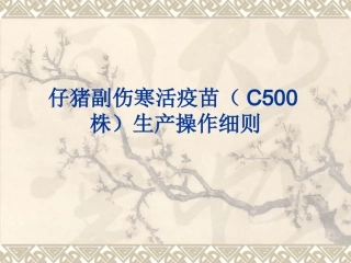 仔猪副伤寒活疫苗..
