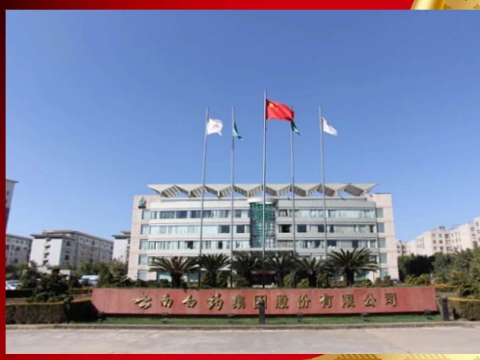 云南白药集团股份有限公司英文版_第2页