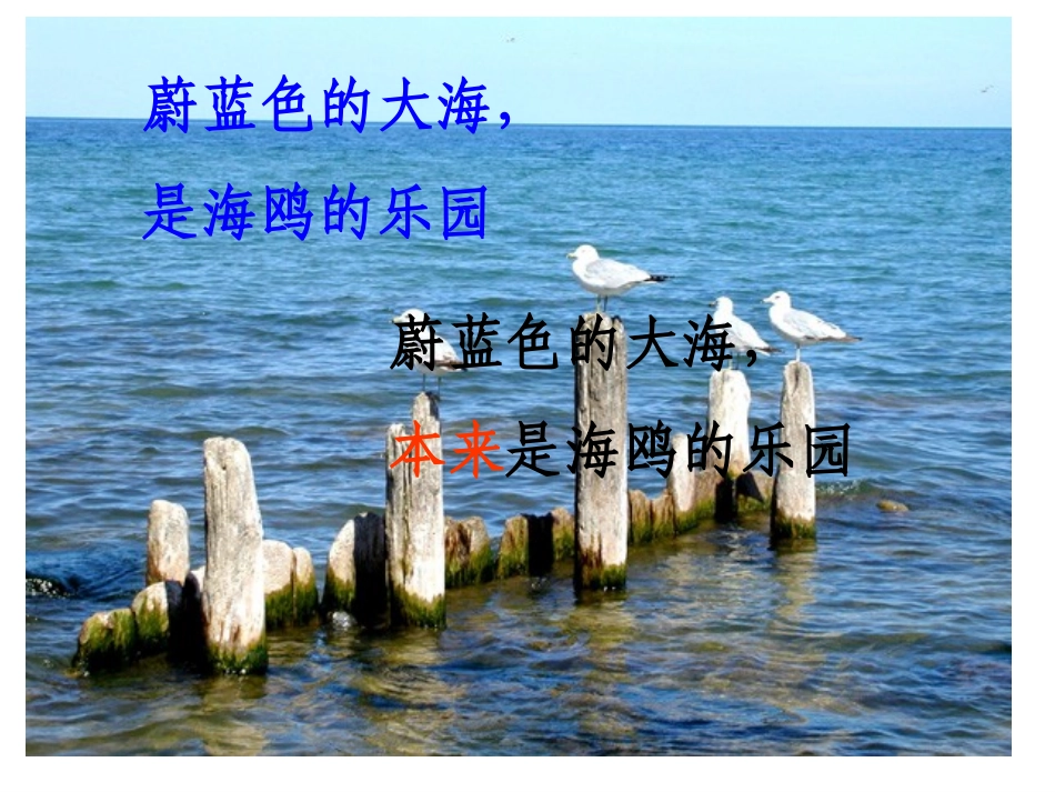 和我们一样享受春天课件_第2页