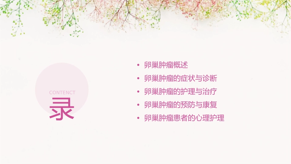 妇产科学之卵巢肿瘤护理课件_第2页