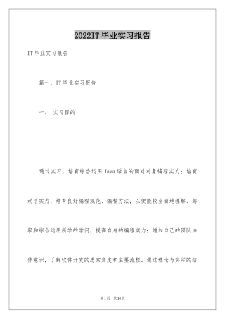 2024IT毕业实习报告