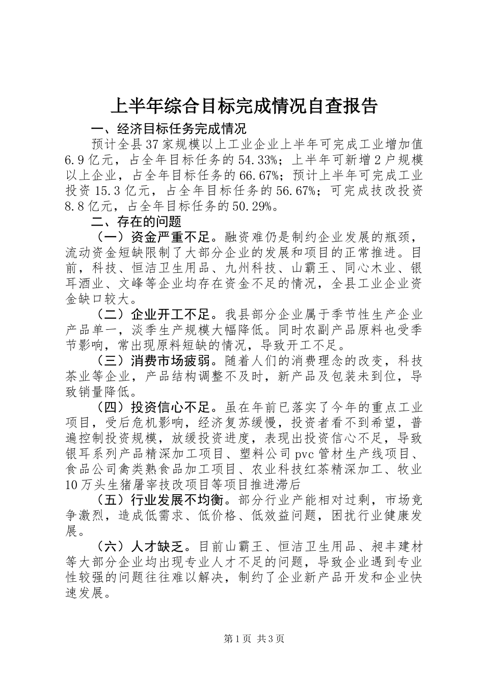 上半年综合目标完成情况自查报告_第1页