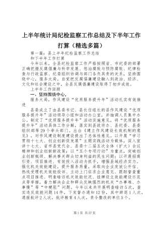 上半年统计局纪检监察工作总结及下半年工作打算(精选多篇)