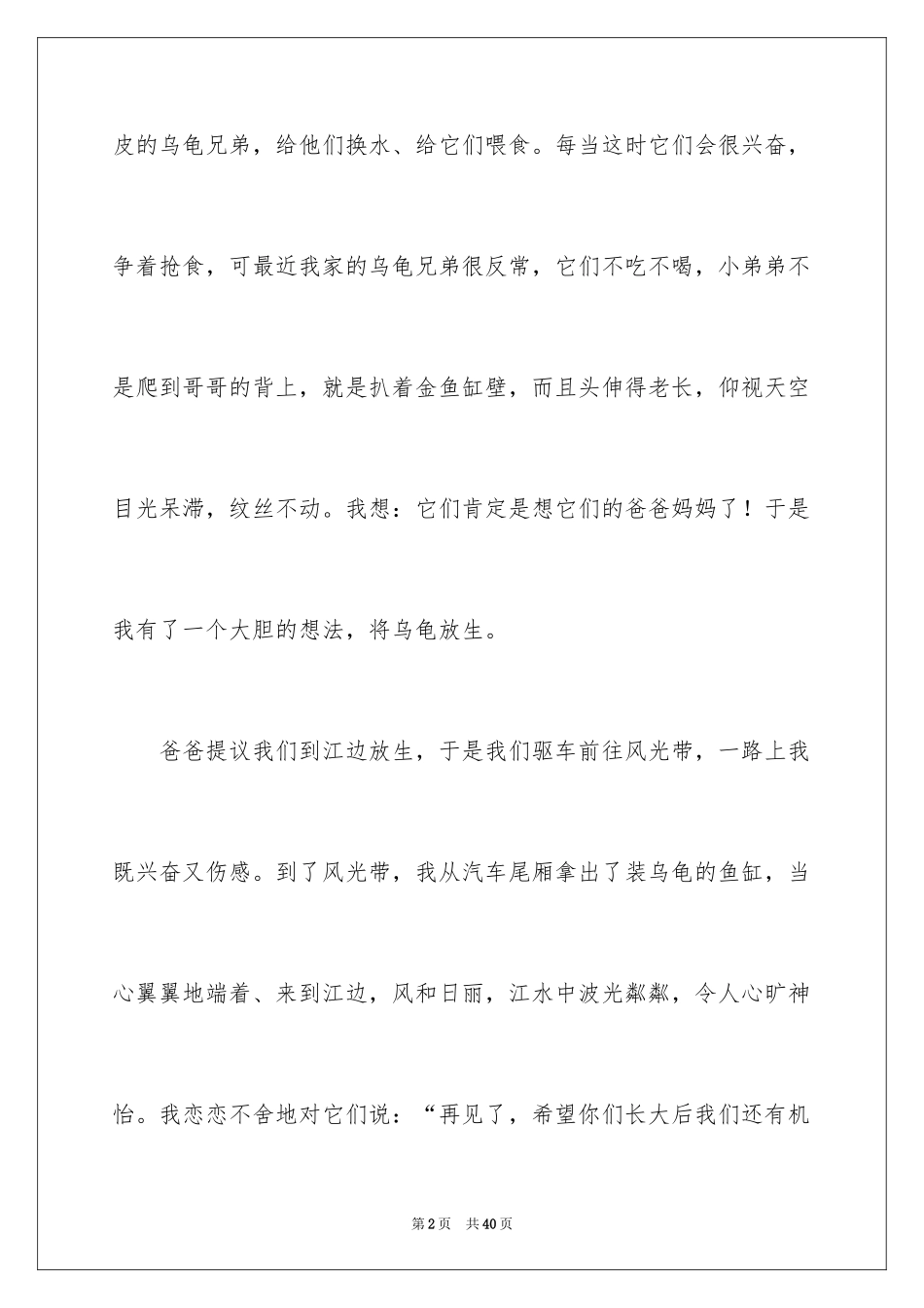 2024乌龟小学作文_10_第2页