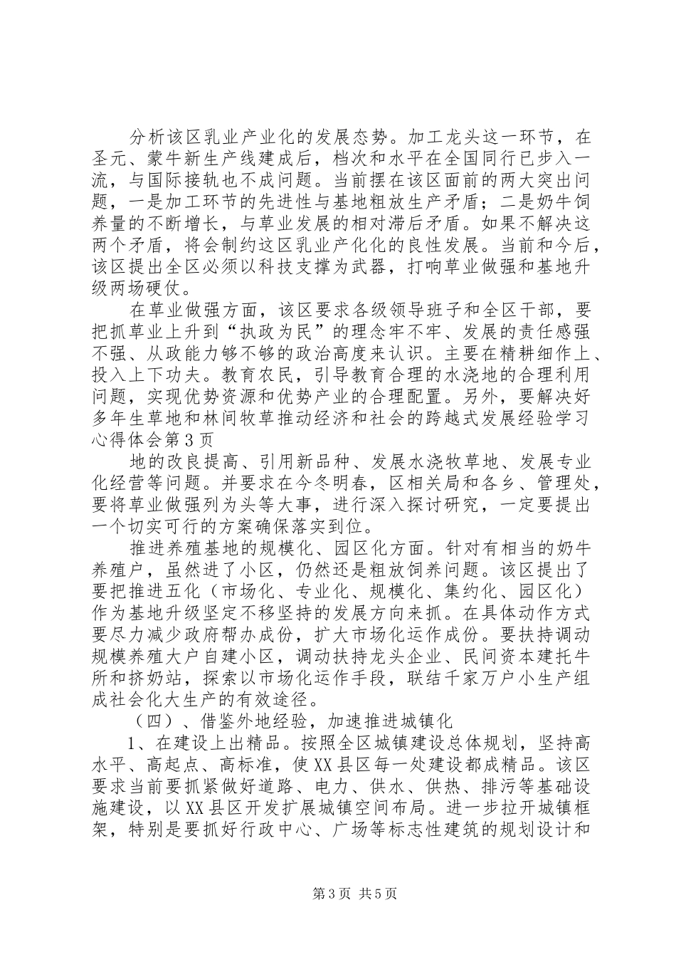 推动经济和社会的跨越式发展经验学习心得体会 _第3页