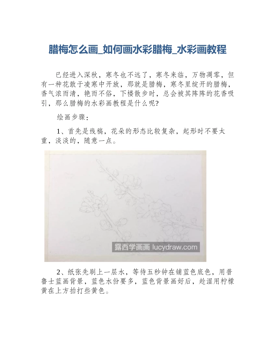 腊梅怎么画_如何画水彩腊梅_水彩画教程_第1页