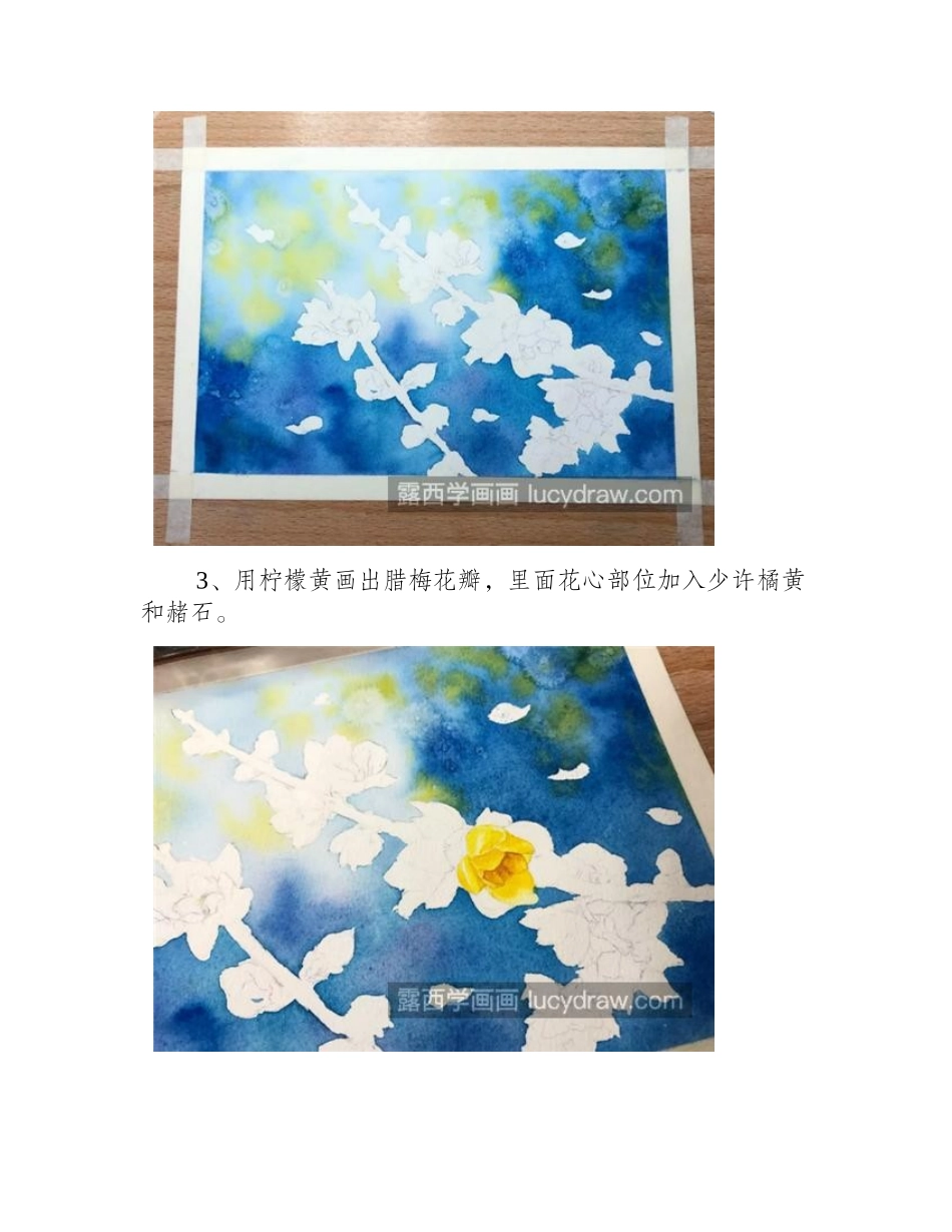 腊梅怎么画_如何画水彩腊梅_水彩画教程_第2页