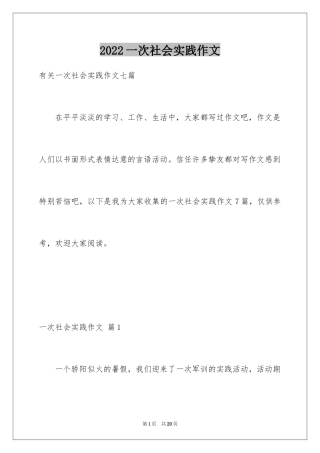 2024一次社会实践作文_104