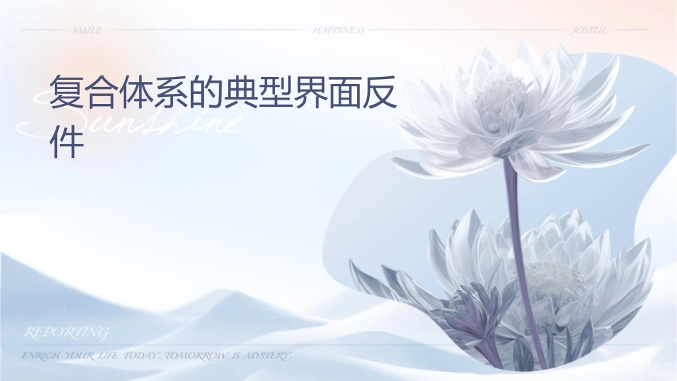复合体系的典型界面反应课件_第1页